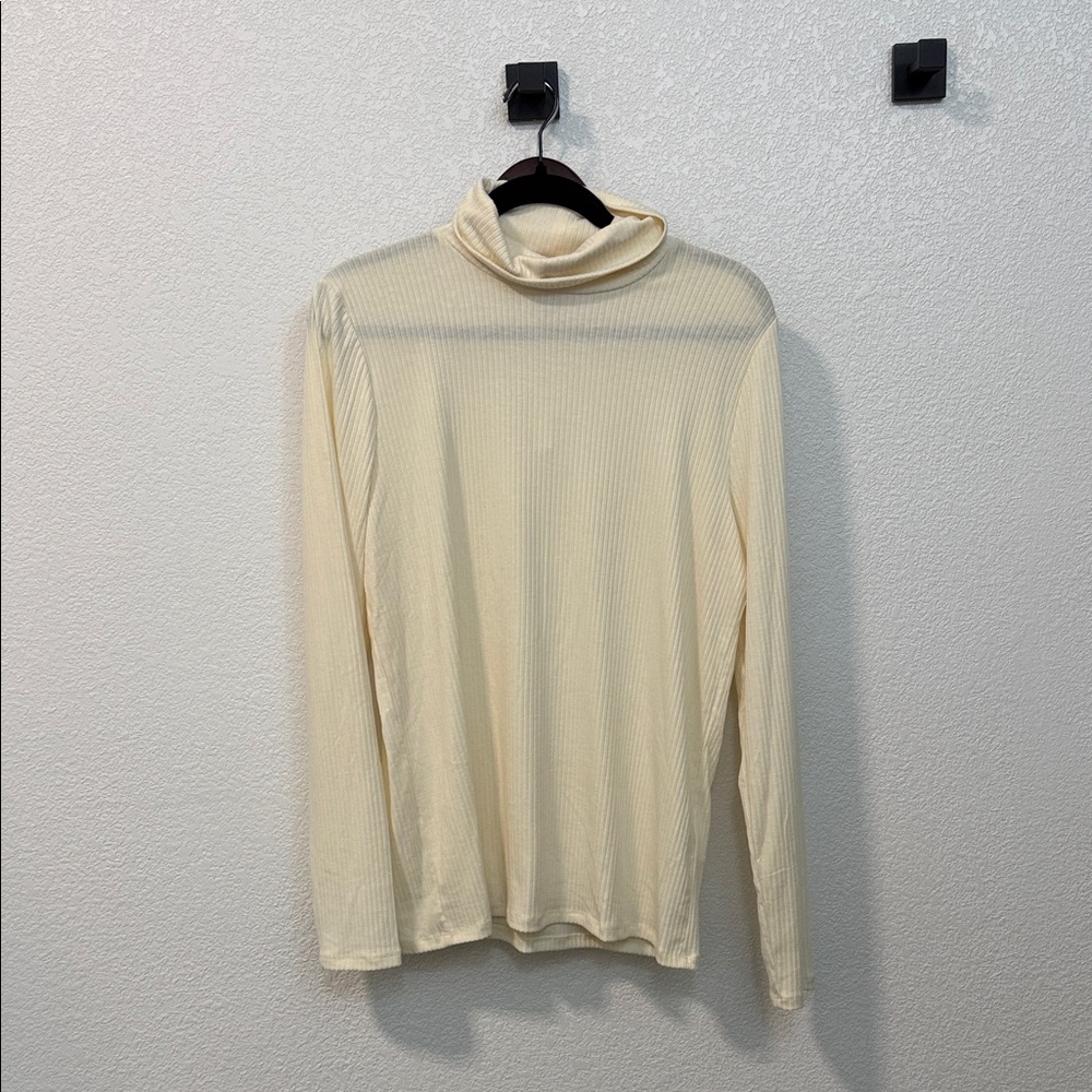 Madewell Cream Turtleneck Sweater